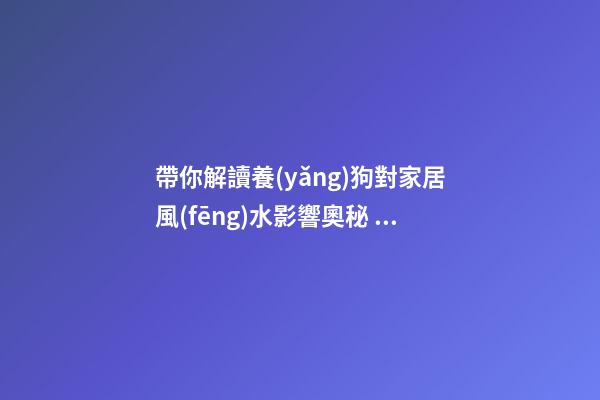 帶你解讀養(yǎng)狗對家居風(fēng)水影響奧秘 當(dāng)心常會在家居設(shè)計中犯的禁忌